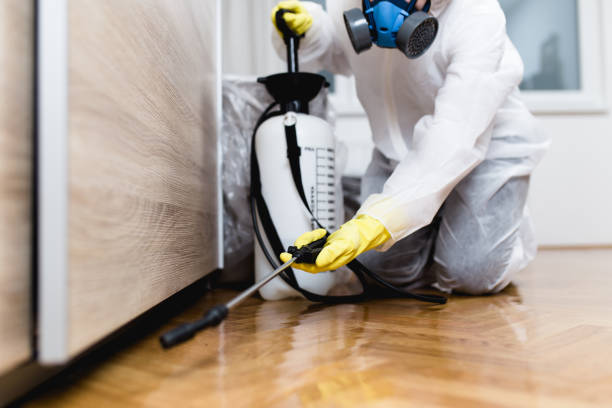 Best Pest Inspection Near Me  in Villa Park, CA