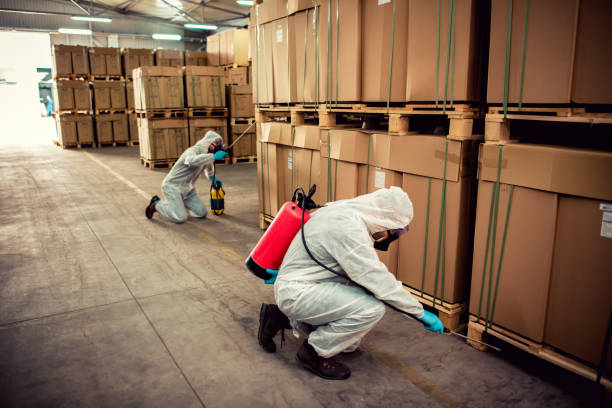 Best Bed Bug Extermination  in Villa Park, CA
