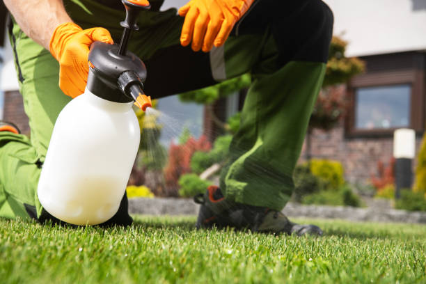 Best Ant Control Services  in Villa Park, CA